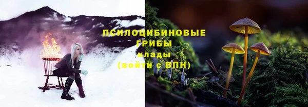 бошки Богданович