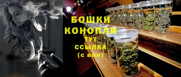 бошки Богданович