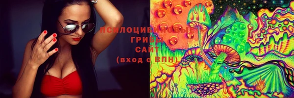 прущая мука Богородск